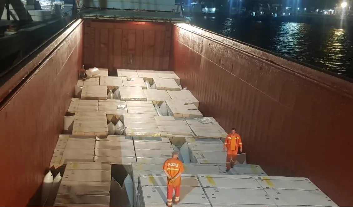 Level‑4 Air Bags Image 2